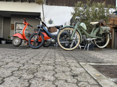 Puch Frank Maya