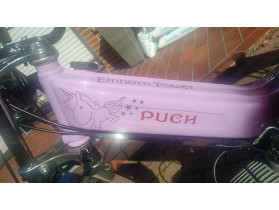 Jan Dirk's Puch Maxi N