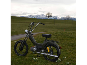 Neuaufbau Puch Maxi s
