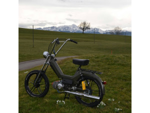 Neuaufbau Puch Maxi s