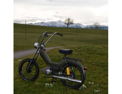 Neuaufbau Puch Maxi s