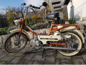 robert's Rog Puch  Pony Express