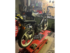 EierlegendeWollMilchsau