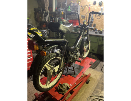 EierlegendeWollMilchsau