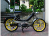 Black & Yellow dream
