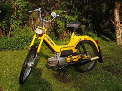 Puch Leon Kaltenbach