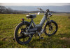 Grey Scrambler