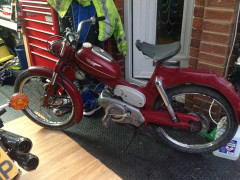 Puch Stephen Sharp