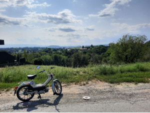 Puch Maxi Skodic