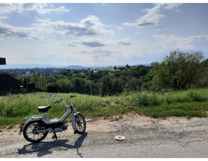 Puch Maxi Skodic