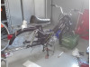 Camillas project