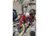 Puch Supermaxi LG1