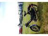 Puch Maxi Everything legal