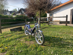 Puch Nico Walpot