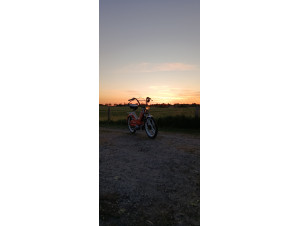 Puch Maxi Projekt 