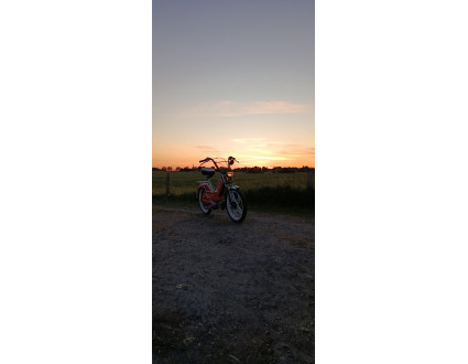 Puch Maxi Projekt 