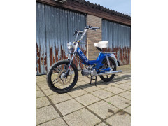 Puch jaap vos