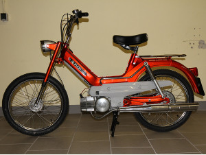 Frühe Maxi L