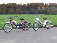 Puch Eric  Vogel 