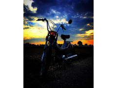 Puch David Markovic