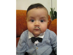 Puch Michael Thiel