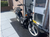 Manet korado Z-one TX2 extra