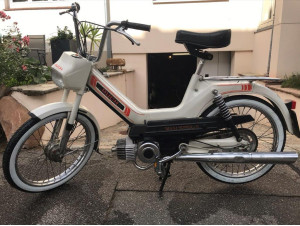 Stubenfliege