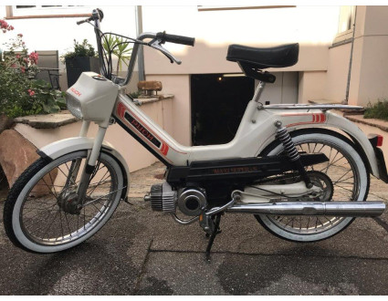 Stubenfliege