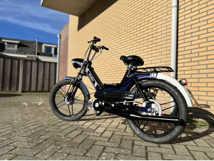 Purple Puch Maxi