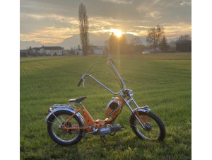 Puch -Custom- Federer