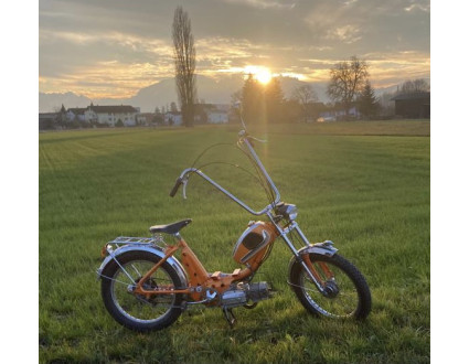 Puch -Custom- Federer