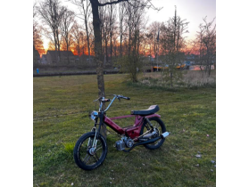Rory's puch maxi s 