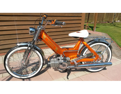 Becki's Puch