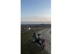 's Puch maxi s