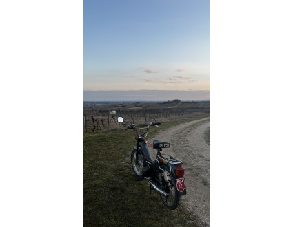 Puch maxi S