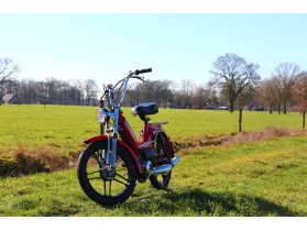 Stef's puch maxi s
