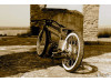 Board Track Racer Ostösterreich