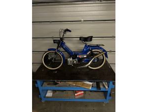 Blue beast