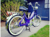 Prjoct Maxi N
