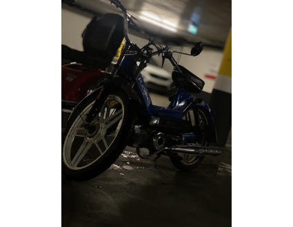 Puch maxi s 