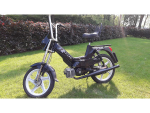 74cc Gila Radical