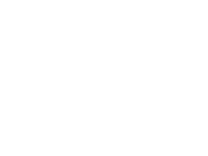 Koppelingsplaat Puch MV / VS / DS / Z50 / Velux X30 Newfren